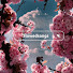 sAehU4EMvu8-channel-avatar-Slowedsongs
