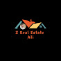 Z Real Estate 