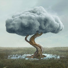 Rain On Tree