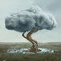 4wd4iY3N5aY-channel-avatar-Rain On Tree