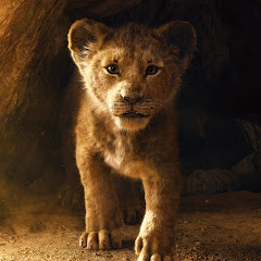 Fact Simba