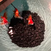 マイニチ不動産