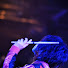 W82GFCFlJj8-channel-avatar-Shinsaku DRUMMER