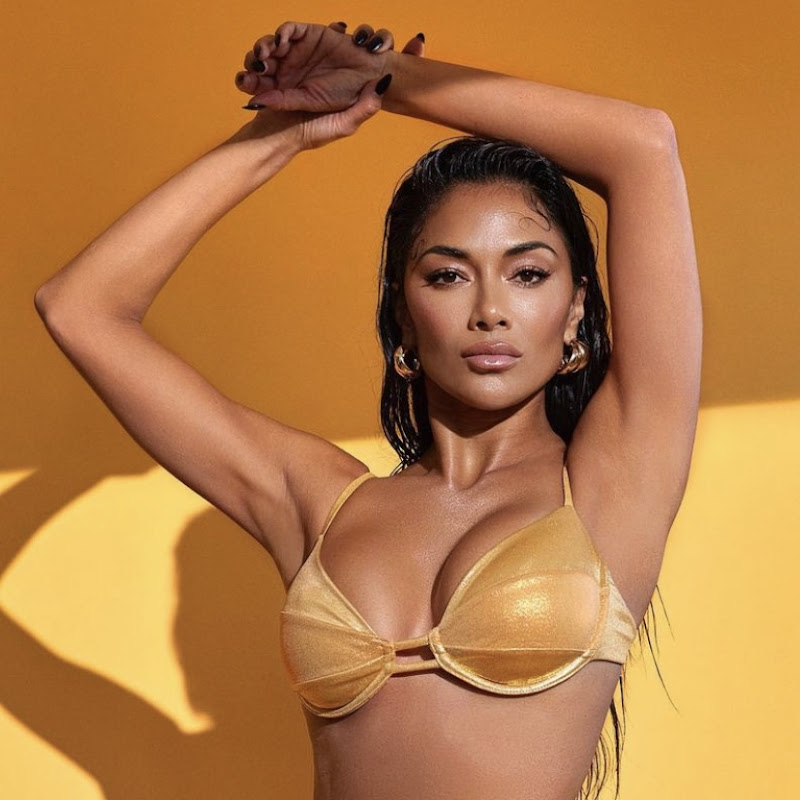 Nicole Scherzinger TV