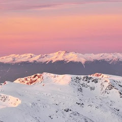 Астрологичен салон, астролог Кирилка Пачева  net worth