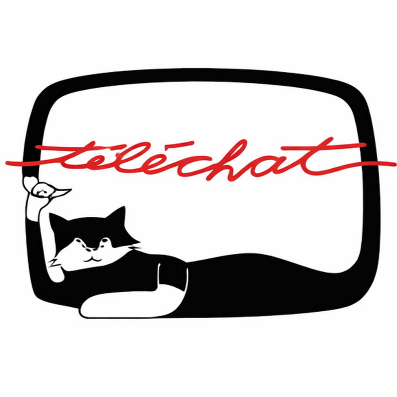 Téléchat Officiel