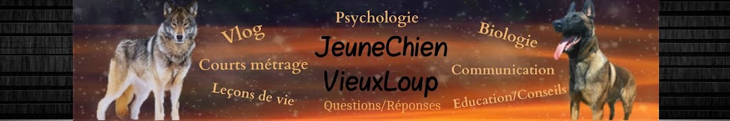 JeuneChien VieuxLoup / Ethologie Canis Avatar canale YouTube 