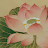 @청굴-v7h