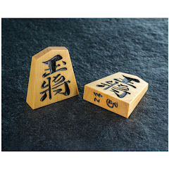 藤井聡太八冠 FC 247