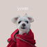 3c9H7IsgIfo-channel-avatar-yeom