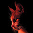 MV8Fot6dfmY-channel-avatar-TheTenthGeneration 