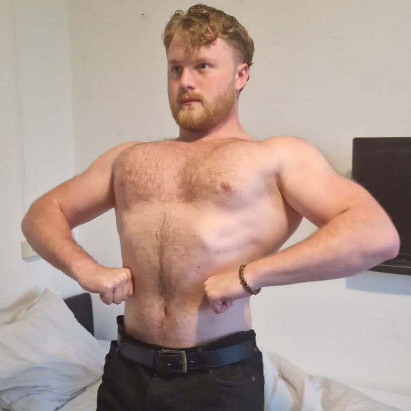 Arms Enthusiast