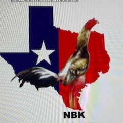 NBK Gallos Texanos net worth