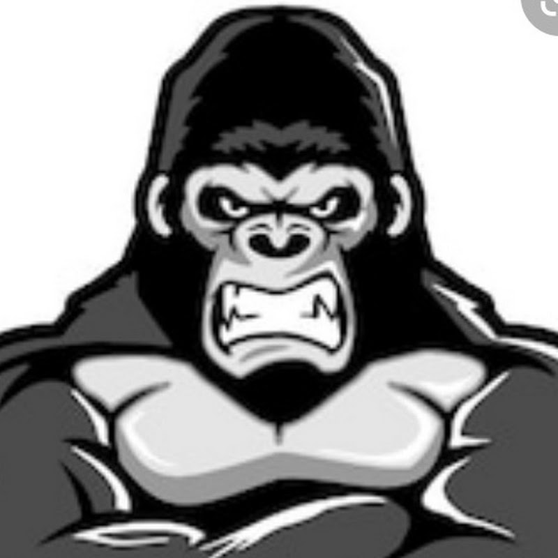 Modest Gorilla