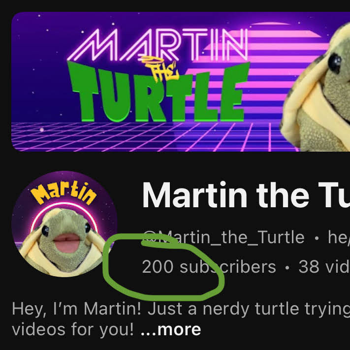 Post from Martin the Turtle