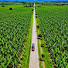 xzSo2iuIs1M-channel-avatar-de urabá 