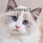 Purrfect Ragdolls logo