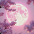 @cherryblossom123-r2n