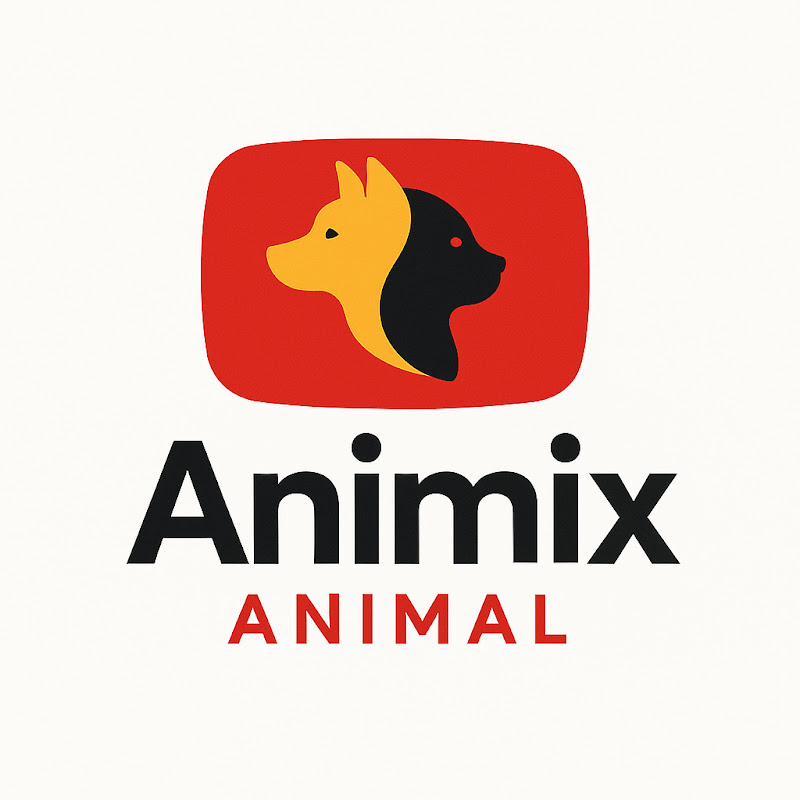 Animix Animal