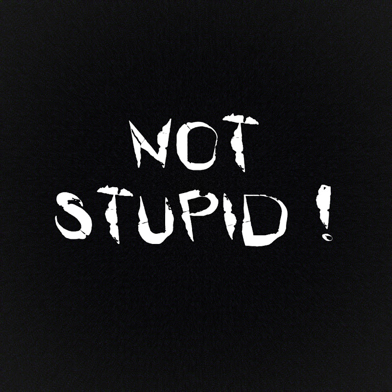 Not Stupid