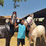 TbgSQ7TGYk4-channel-avatar-Rehan horse 🐴🐴