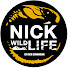 fmkxK62SYsI-channel-avatar-Nick Wildlife