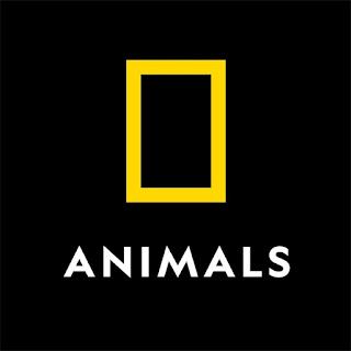 Nat Geo Animals