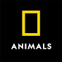 Nat Geo Animals