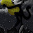 @Reallylean Avatar