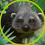CharlieXGaming Avatar