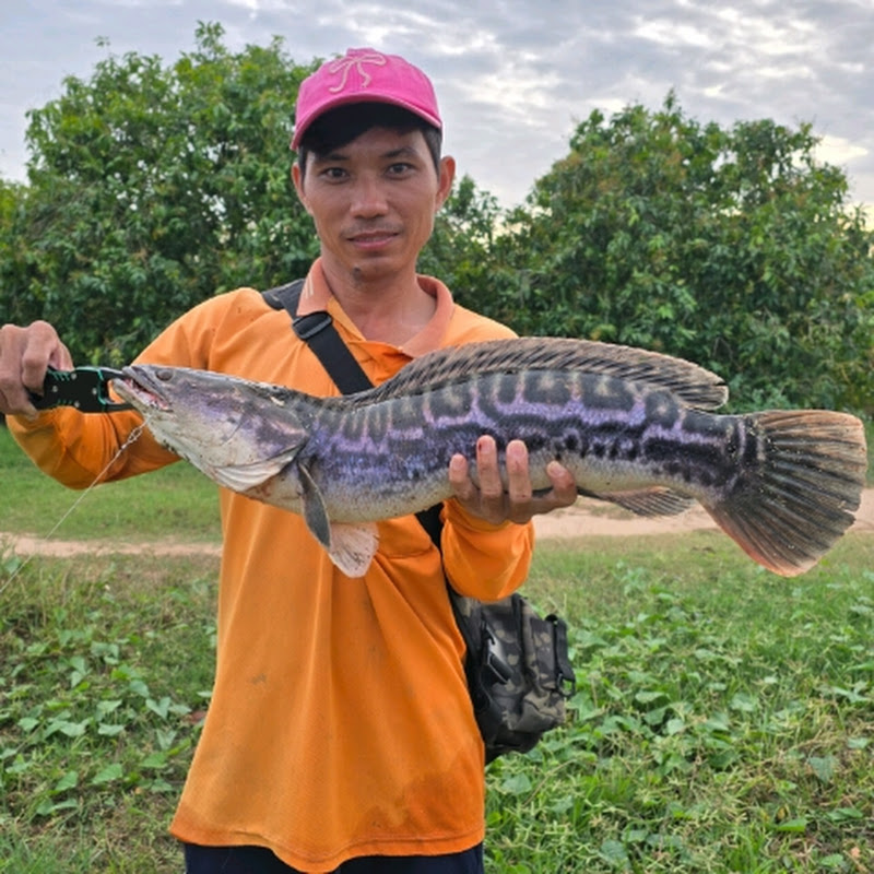 Hong Fishing