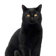 Rozrywka  Kreatywność  Ciekawostki