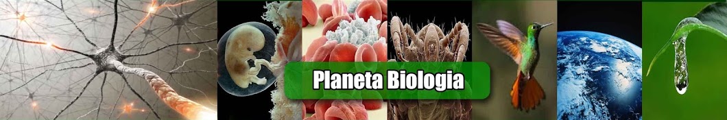 Planeta Biologia YouTube channel avatar