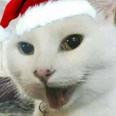 Milanesahit avatar