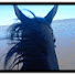 BMJEgqGWduE-channel-avatar-DiaryofaBeachRider