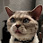 @cadosbeene's avatar
