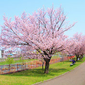 北海道札幌市西区発寒十四条ライブカメラ