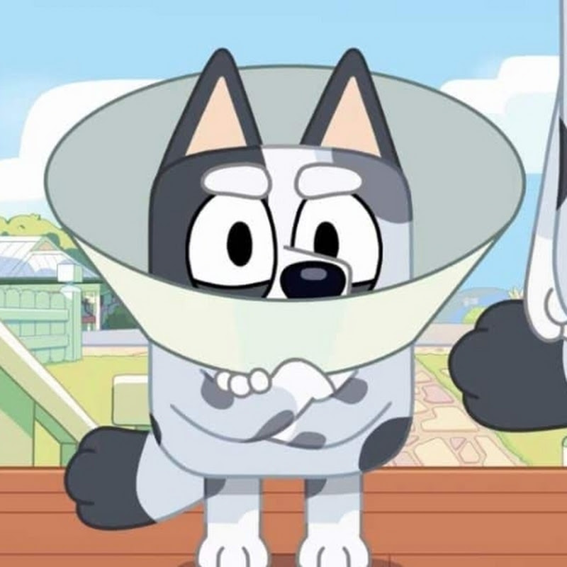 silver screen productions icon