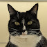 ayh0Om3RxDI-channel-avatar-Pebblecups