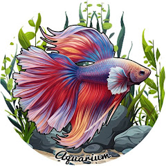 Baby Fish Aquarium 2025