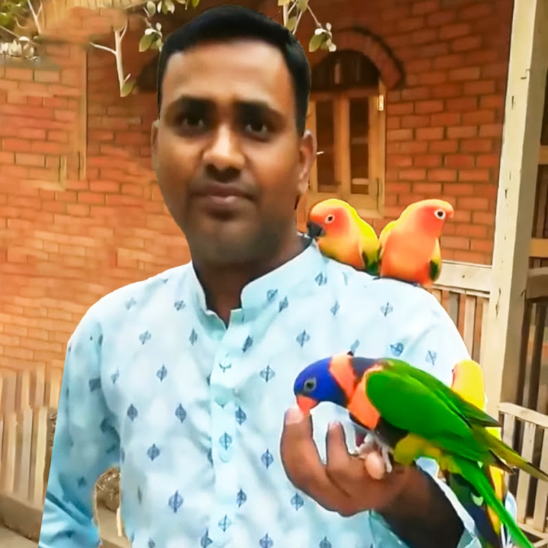 Probashi birds lover 