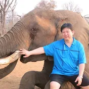 Animal Network