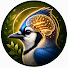 _m8eiz2yqZ4-channel-avatar-Bird Mind Backyard