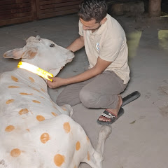 Pashupati Nandan