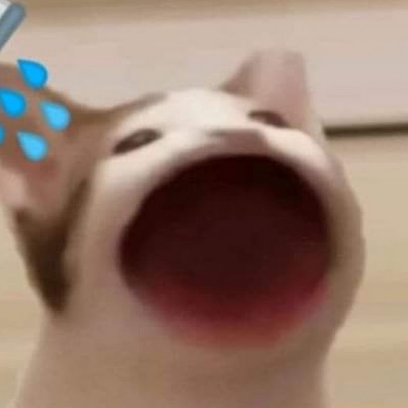 GULLU OP