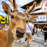 KE54RO105Tc-channel-avatar-日本のかわいい雰囲気