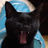 UCELO5Q-TZ4-channel-avatar-黒猫 不二子ちゃんねる Black Cat Fujiko