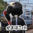 ECuYndFEf6A-channel-avatar-かまぼこch