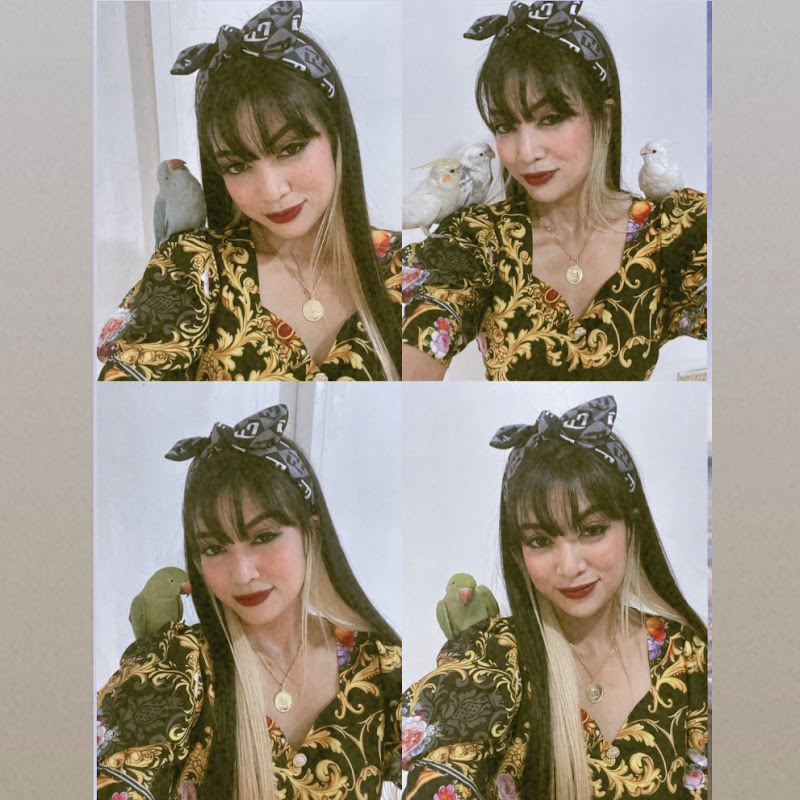 BHANGZ BIRDS AND PARROTS