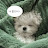 @쿠키인뎅
